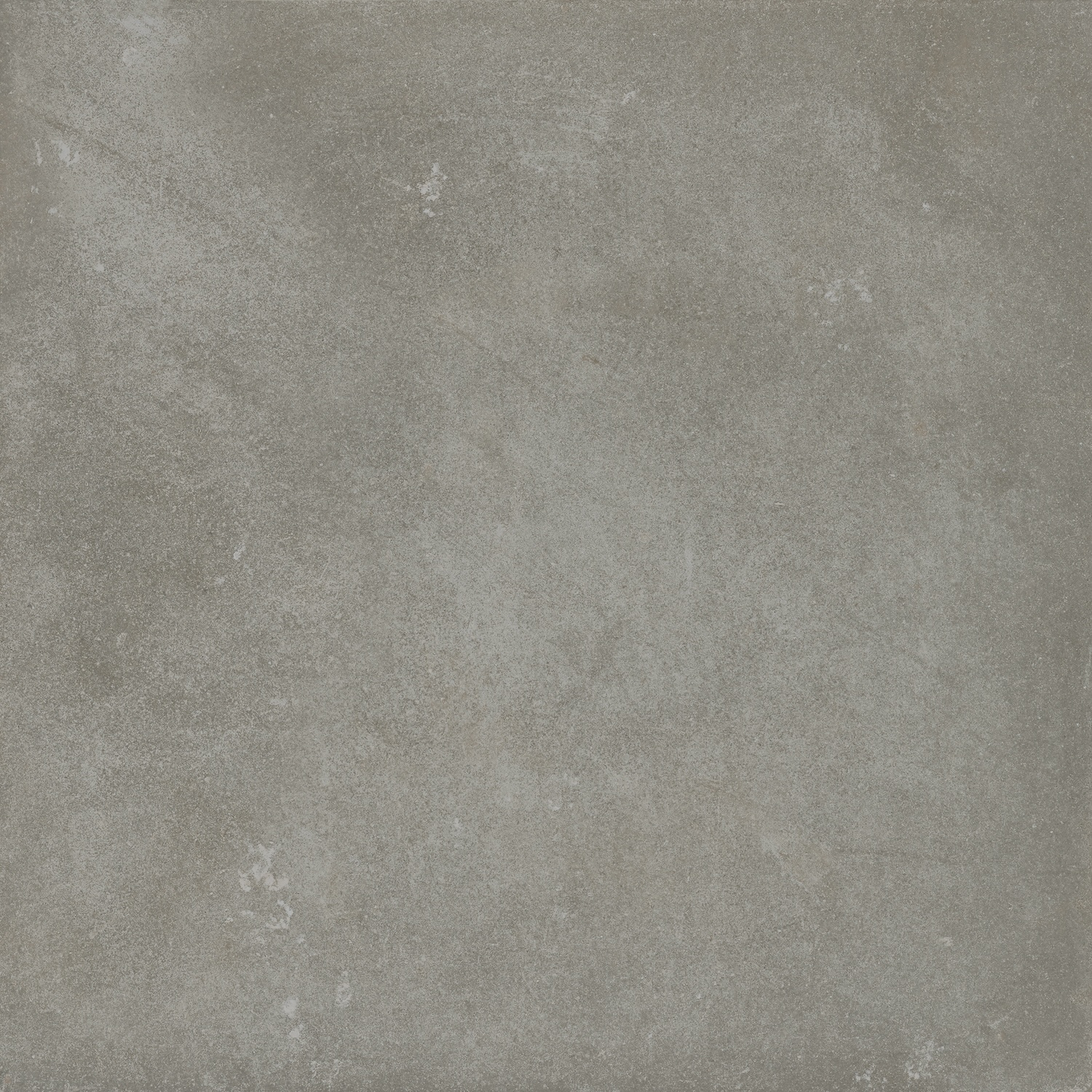 Danzing Taupe